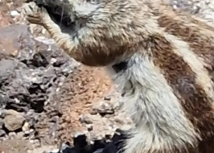 Taty House Sea View * Costa de Antigua